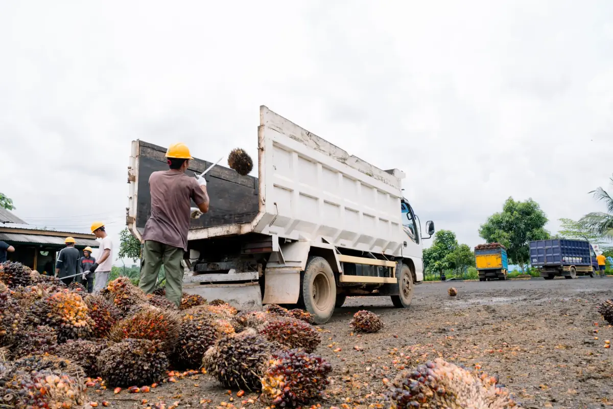 4. Logistics & Rapid Transport