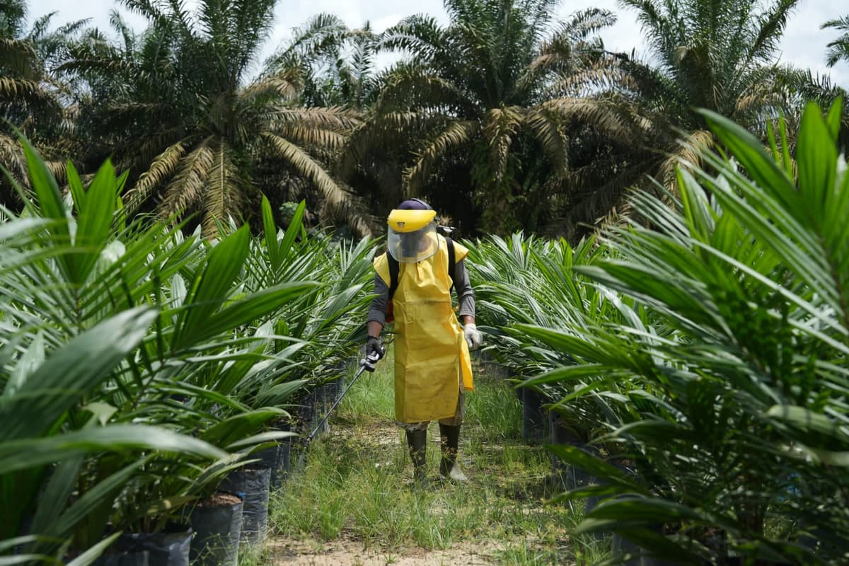 bisnis carousel image 2
